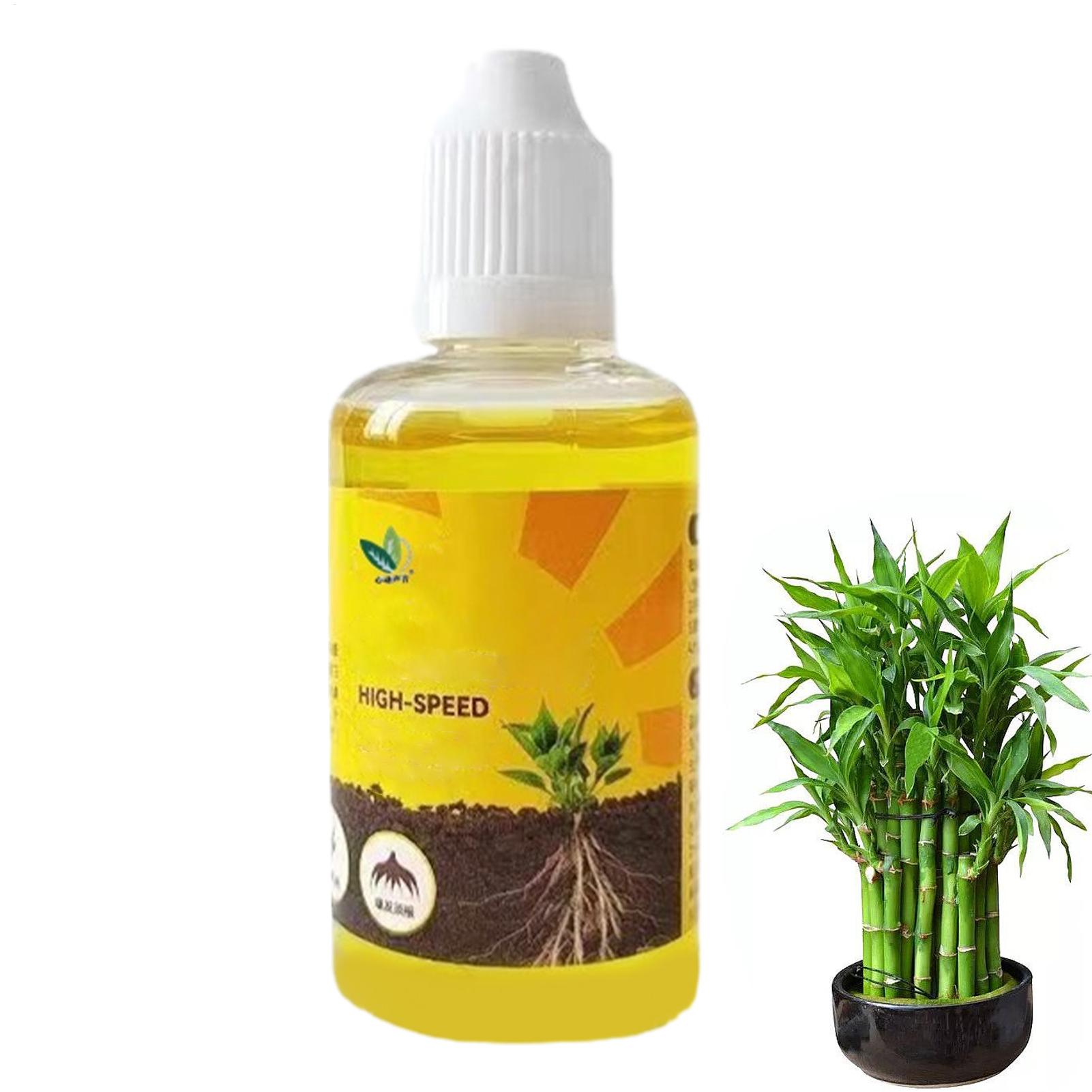 Root Stimulator Liquid - Bitki Köklenme Teşvik Sıvısı, Bitki Kök