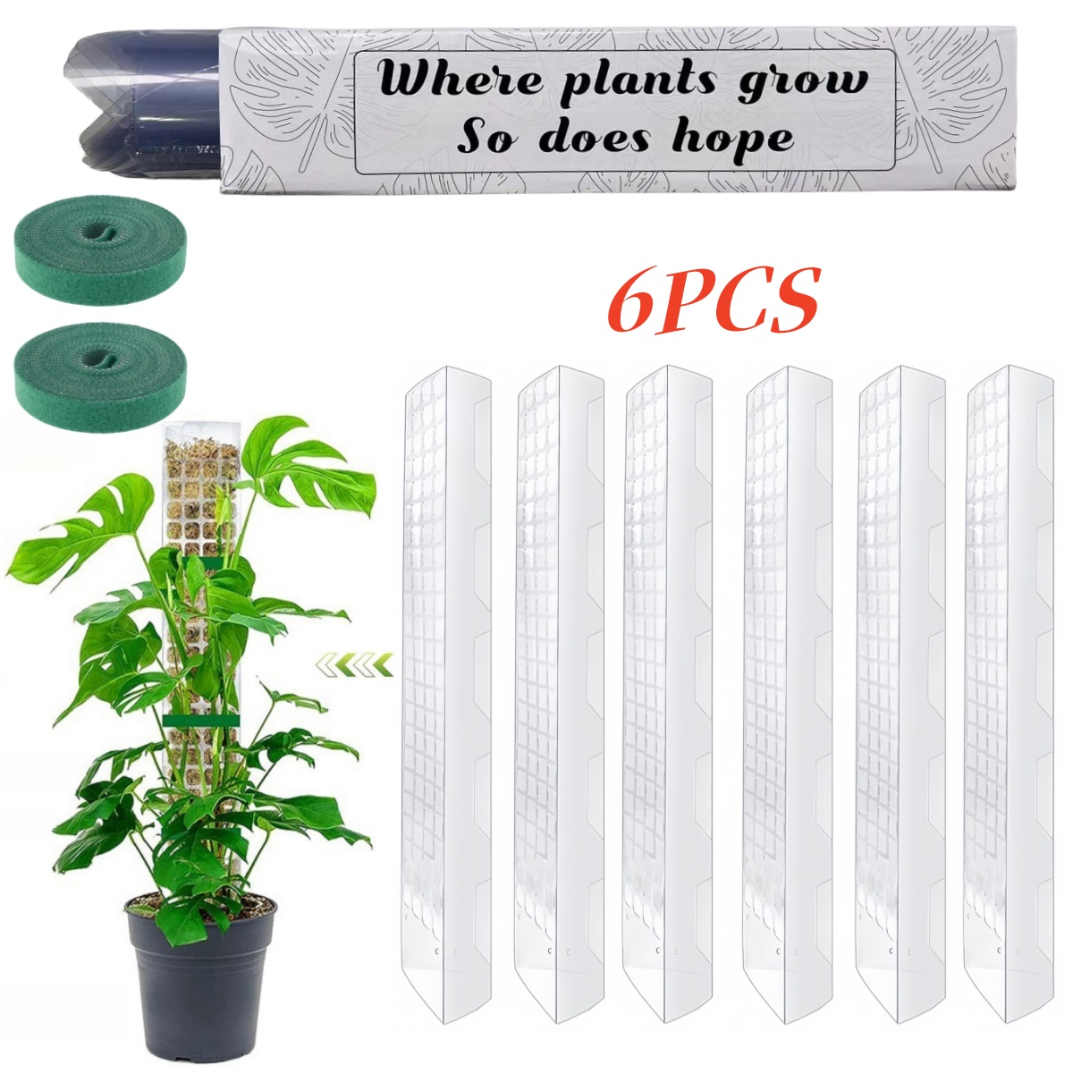 Sphagnum Moss Dry - Yosun Çubuğu Plastik Bitki Standı İç