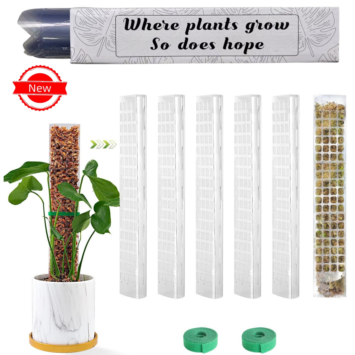 Sphagnum Moss Dry - Bitkiler Yosun Direği Bahçe Konu Çiçek