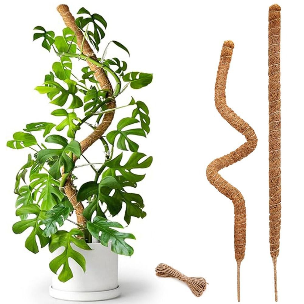 Bitki Desteği Bükülebilir Yosu - Sphagnum Moss Dry incelemesi ve fiyatı